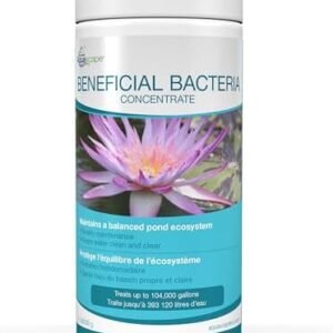 Aquascape Beneficial Bacteria Concentrate for Pond and Water Features, 1.1-Pound | 98950 : Pond Water Treatments